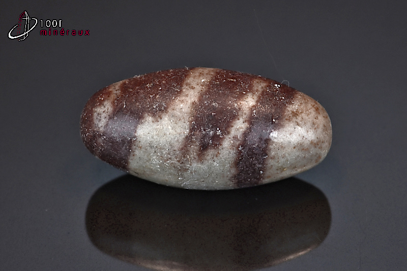 Shiva Lingam poli - Inde - pierres roulées 3,6 cm / 15 g / BC686
