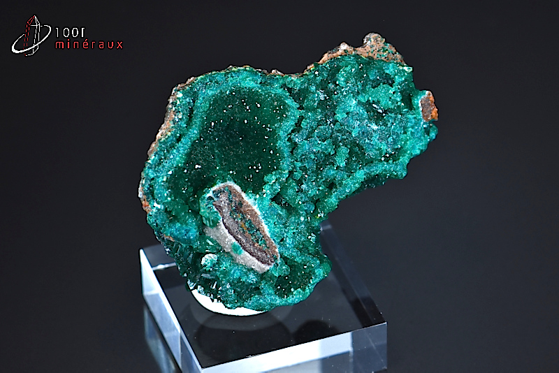 Dioptase - R.D. du Congo - minéraux à cristaux 4,6 cm / 30g / BC901