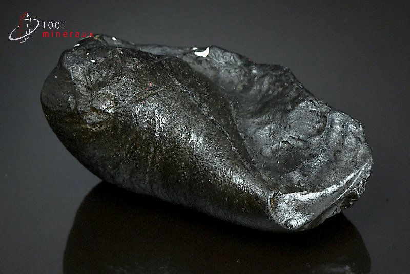 Oreille interne de baleine fossile - U.S.A. - Fossiles 8,8 cm / 227 g / BD250