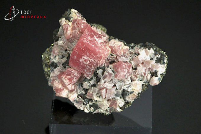 Rhodochrosite - Argentine - minéraux à cristaux 4,8 cm / 56 g / BD415