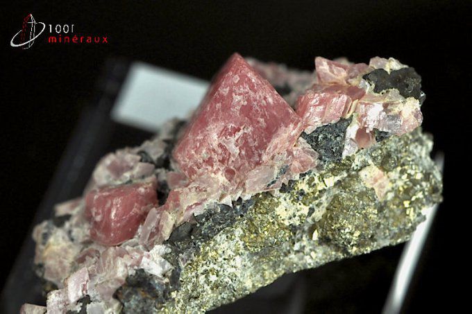 Rhodochrosite - Argentine - minéraux à cristaux 4,8 cm / 56 g / BD415