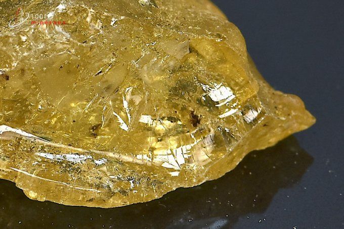 copal fossile