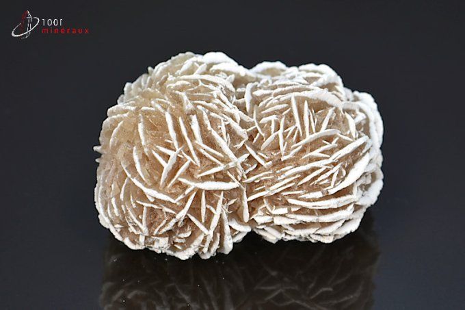 Rose des neiges - Mexique - Minéraux à cristaux 5,5 cm / 80 g / BD738