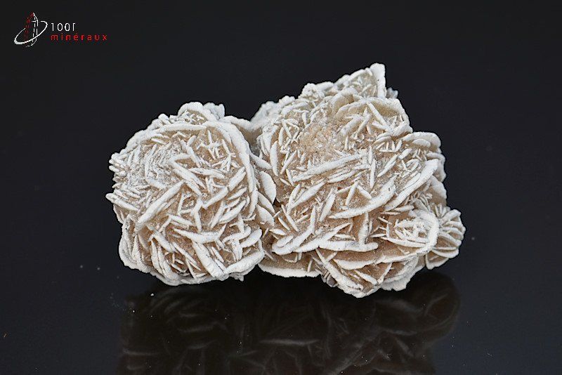 Rose des neiges - Mexique - Minéraux à cristaux 6,2 cm / 78 g / BD741