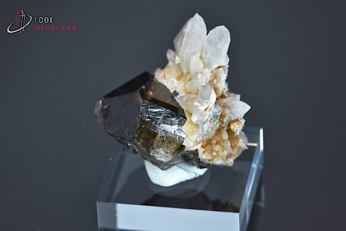 Cristal de Cassitérite sur Cristal de roche - Bolivie - minéraux à cristaux 3,2 cm / 33g / BD903