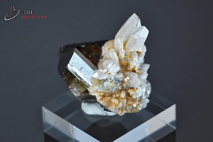 Cristal de Cassitérite sur Cristal de roche - Bolivie - minéraux à cristaux 3,2 cm / 33g / BD903