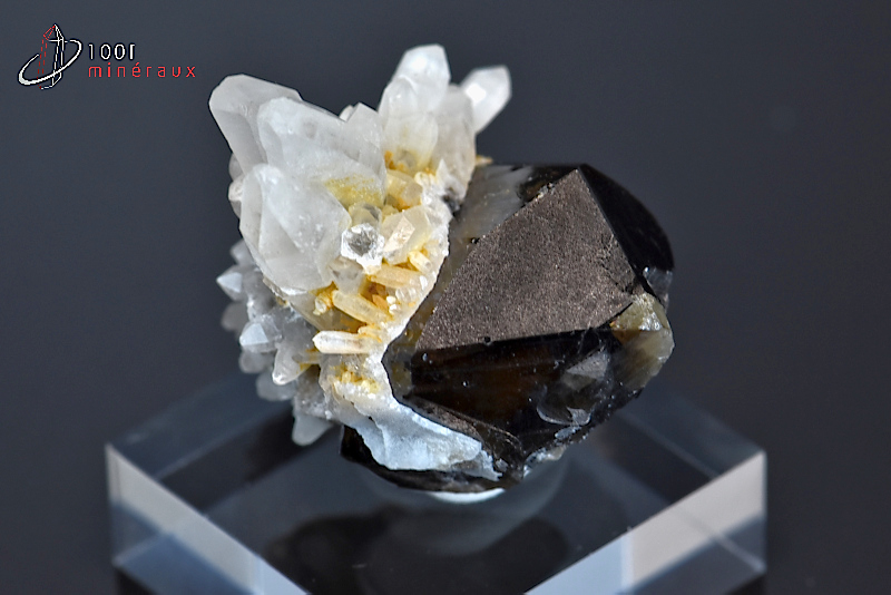 Cristal de Cassitérite sur Cristal de roche - Bolivie - minéraux à cristaux 3,2 cm / 33g / BD903