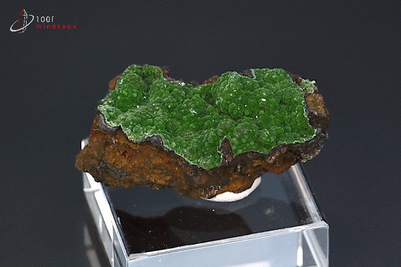 Conichalcite - Mexique - minéraux à cristaux 3,5 cm / 10 g / BD905
