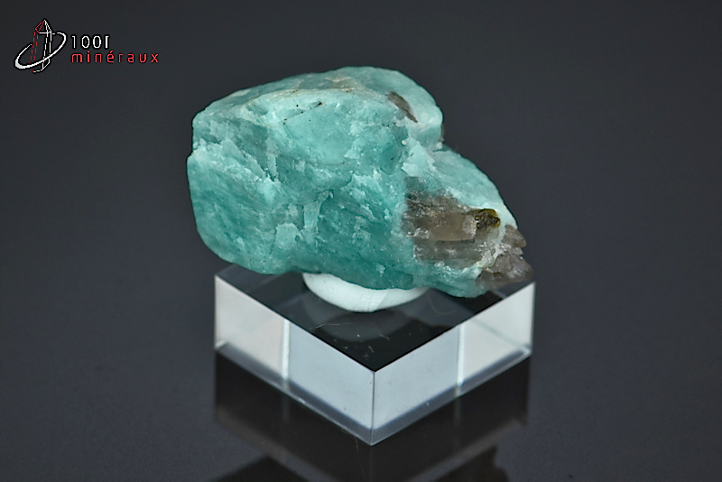 Amazonite turquoise - U.S.A. - minéraux bruts 3 cm / 21 g / BD922