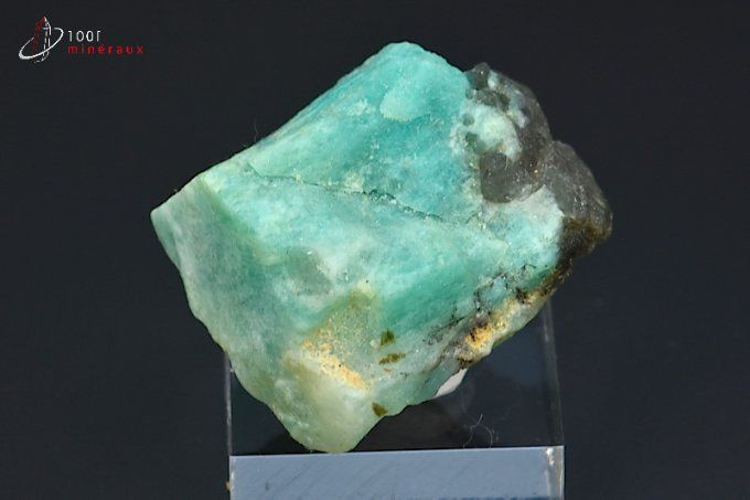 amazonite turquoise brute