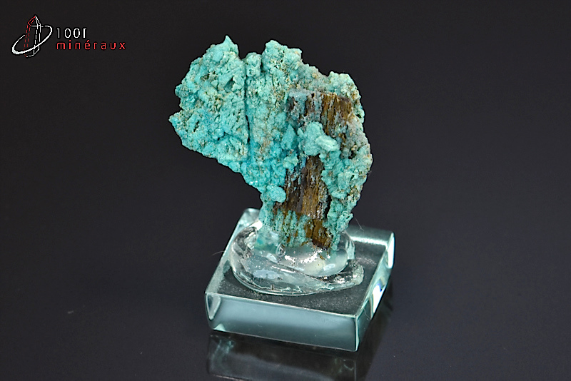 Chalcanthite sur bois - France - Minéraux à cristaux 3,1 cm / 14 g / BD994