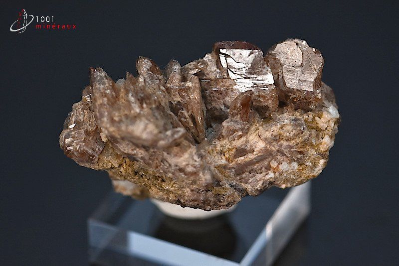 Axinite - Pakistan - minéraux à cristaux 4,8 cm / 44g / BE147