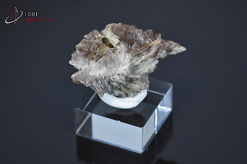 Axinite - France - minéraux à cristaux 3,1 cm / 7g / BE148