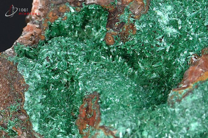 cristaux de brochantite sur roche