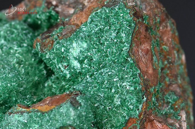 cristaux de brochantite sur roche