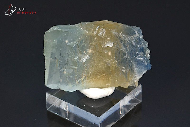 Fluorine bleue et jaune translucide - France - minéraux à cristaux 4,5 cm / 50g / BE188