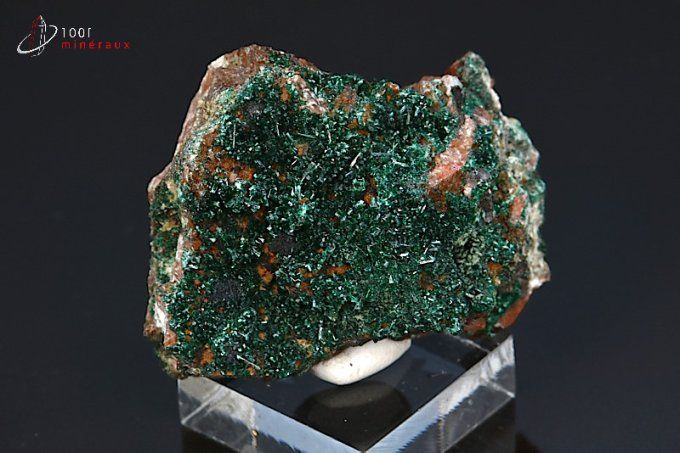Atacamite - Chili - minéraux à cristaux 5,2 cm / 63g / BE194