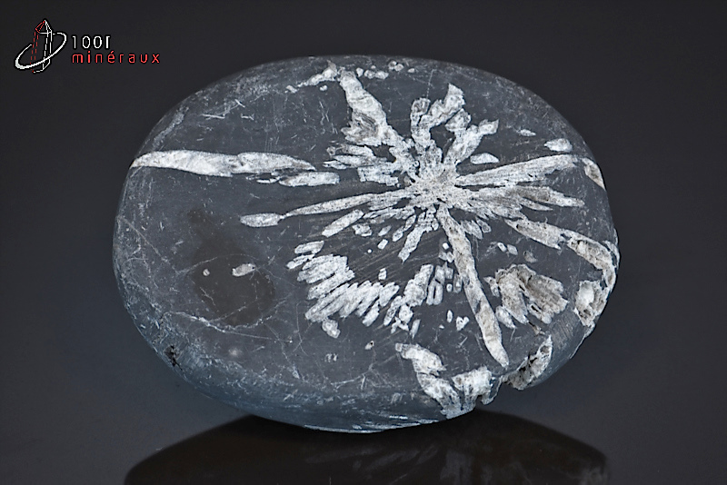 Chrysanthem stone - Chine - minéraux à cristaux 7 cm / 102 g / BE264