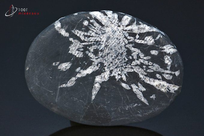 chrysanthem stone mineraux