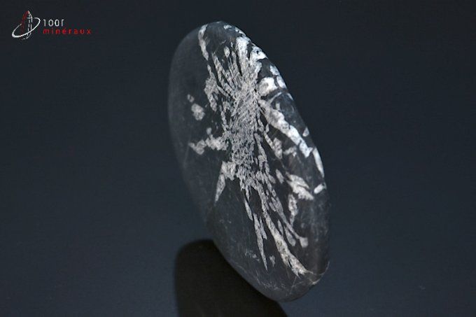 chrysanthem stone mineraux