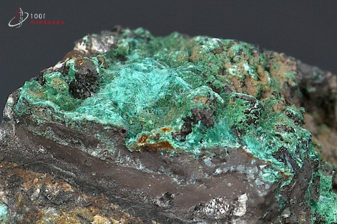 aurichalcite cristallisée sur roche