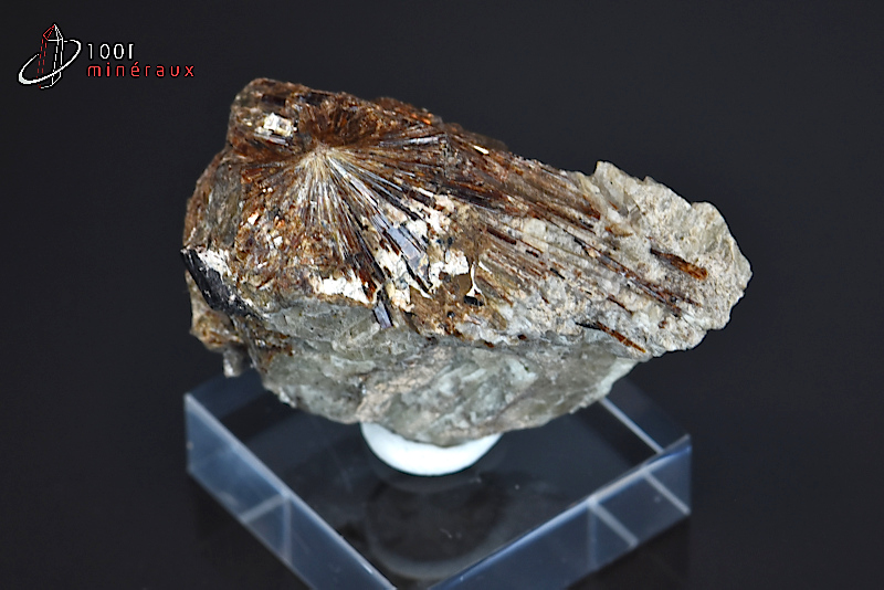 Astrophyllite - Russie - minéraux à cristaux / 4,5 cm / 24g / BE319