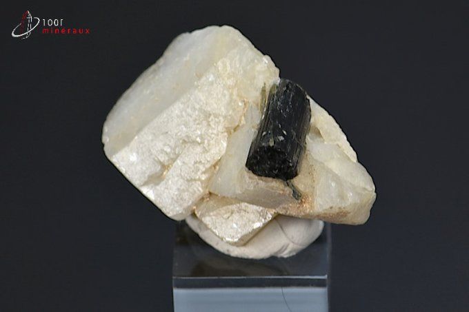 cristal de tourmaline noire sur albite