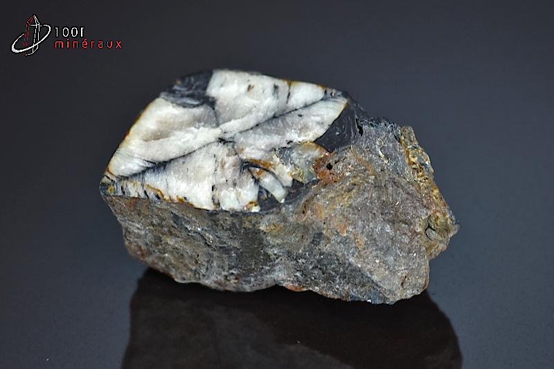 Chiastolite (ou Andalousite) polie - Espagne - pierre polie 3,9 cm / 35g / BE349