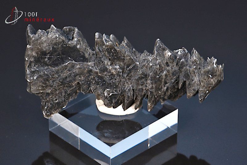 Gypse sapin cristallisé - France - minéraux à cristaux 6,3 cm / 19g / BE416