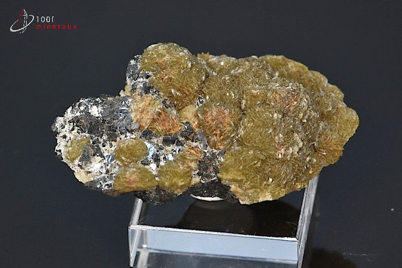 Sidérite sur Marmatite - France - minéraux à cristaux 5,2 cm / 31g / BE442