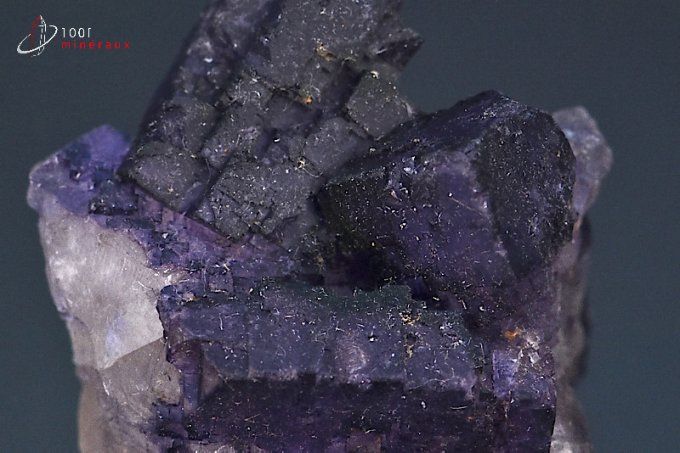 fluorine violette translucide
