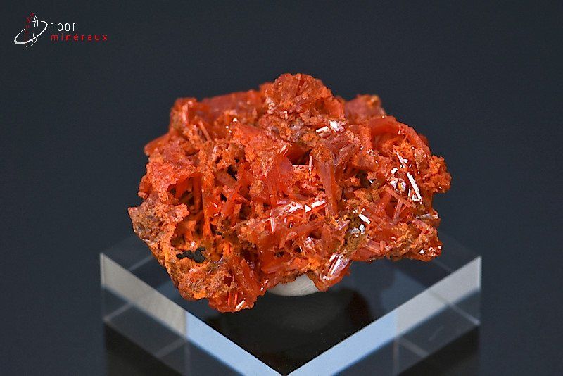 Crocoïte - Australie - minéraux à cristaux 3,2 cm / 20g / BE482