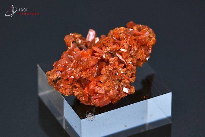 crocoite-mineraux