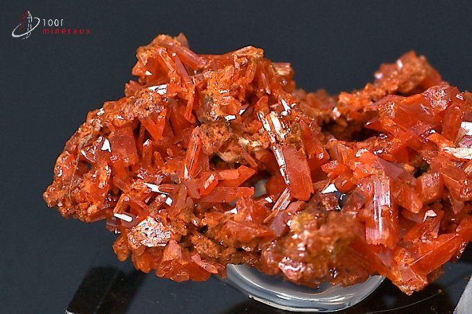 crocoite-mineraux