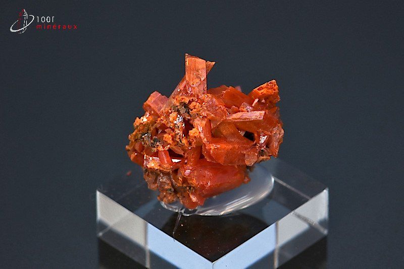 Crocoïte - Australie - minéraux à cristaux 2,3 cm / 9g / BE487