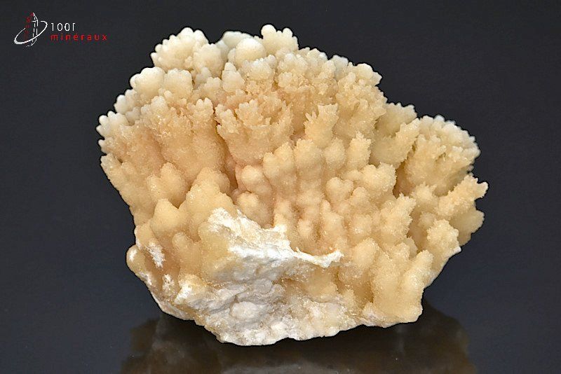 Grande Aragonite rayonnante - Maroc - minéraux à cristaux 9,5 cm / 500g / BE606