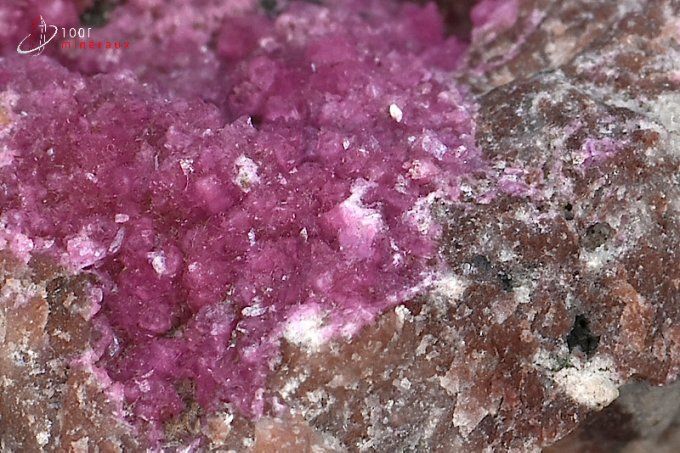 mineral cobaltocalcite