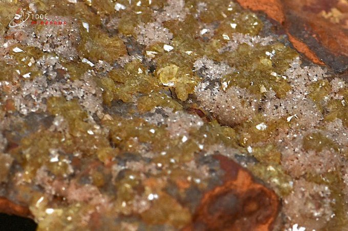 adamite sur limonite mineraux