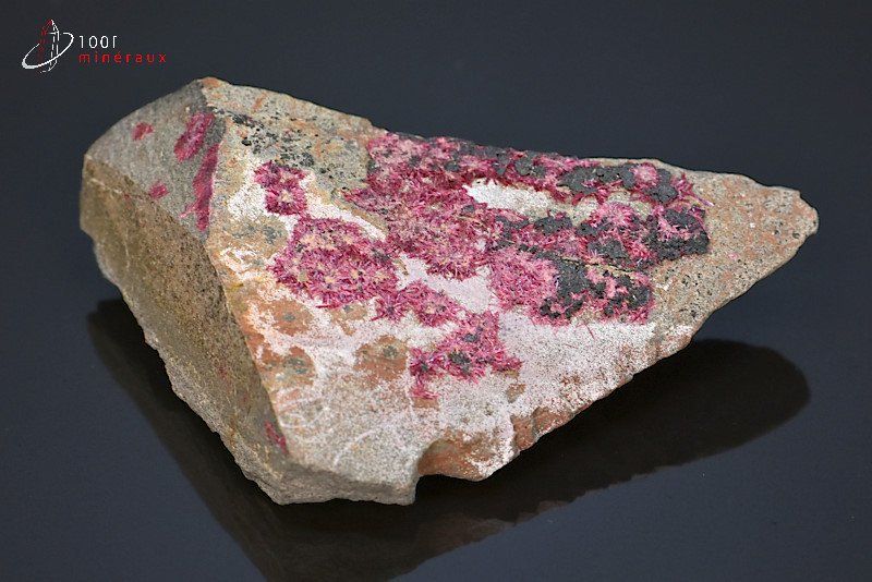 Erythrine - Australie - minéraux à cristaux 8,2 cm / 95g / BE667