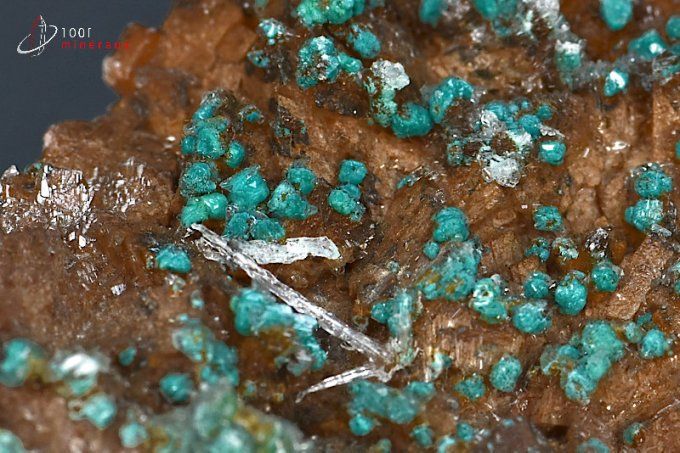 ankerite et malachite mineraux