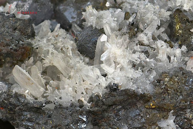 realgar et galene sur quartz