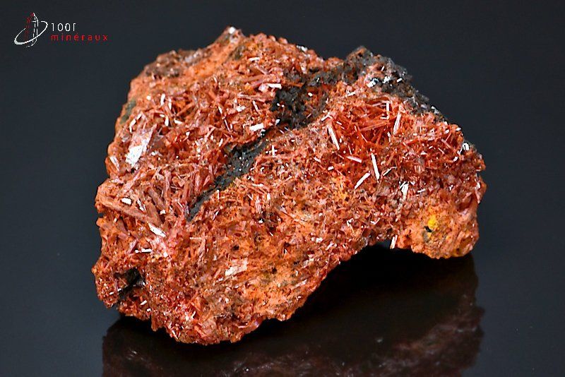 Grande Crocoïte - Australie - minéraux à cristaux 9,6 cm / 561g / BE688