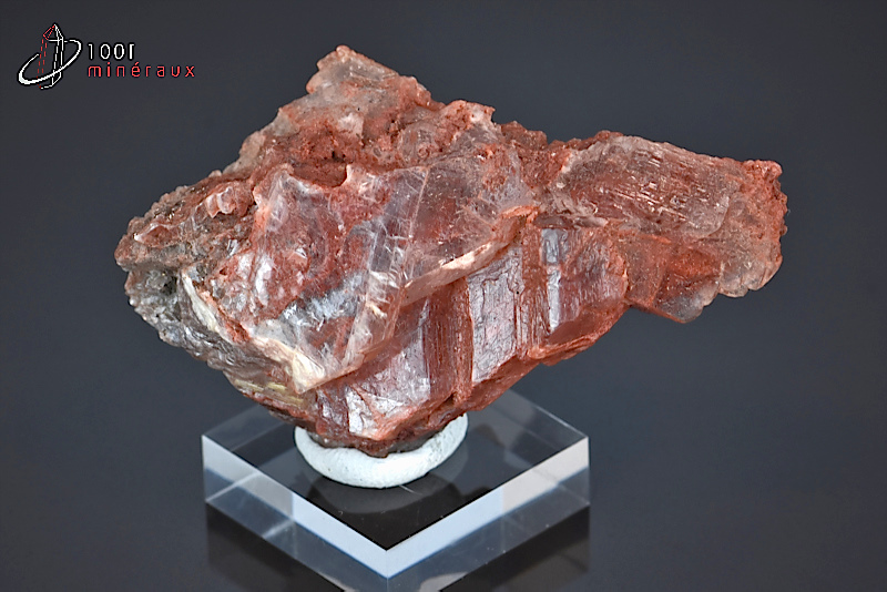 Gypse cristallisé translucide - Espagne - minéraux à cristaux 6,1 cm / 56 g / BE730
