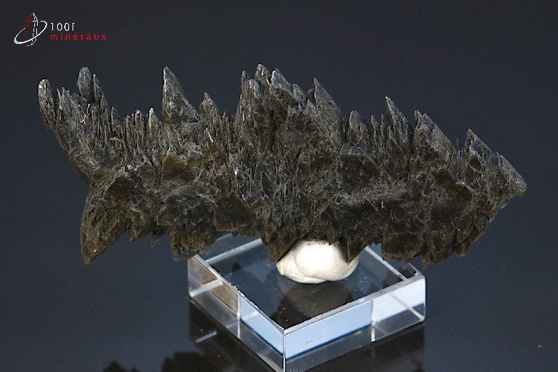Gypse sapin cristallisé - France - minéraux à cristaux 8,1 cm / 43g / BE749