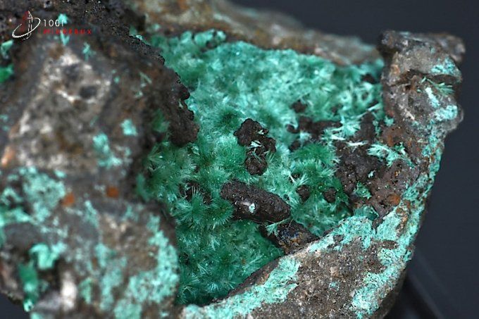 cristaux aurichalcite