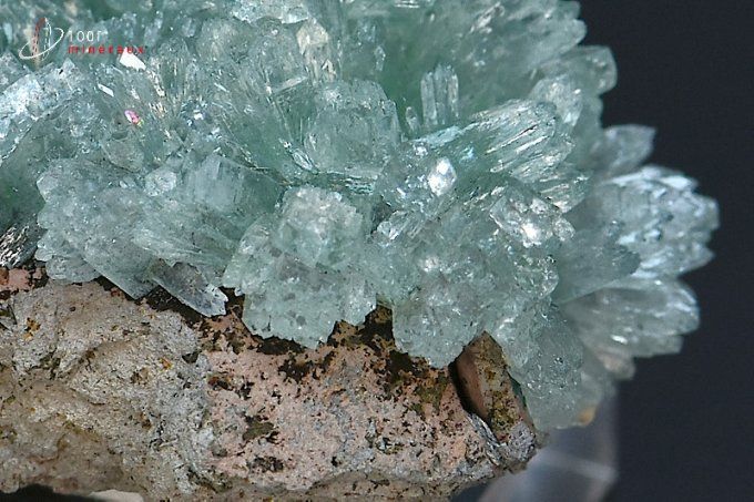 apophyllite verte cristallisée