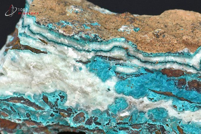 chrysocolle bleue et quartz blanc