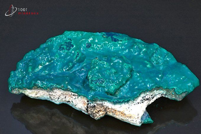 grande chrysocolle bleue