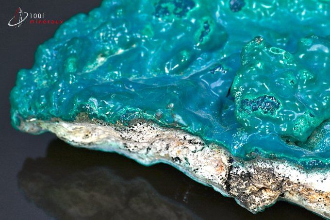 grande chrysocolle bleue