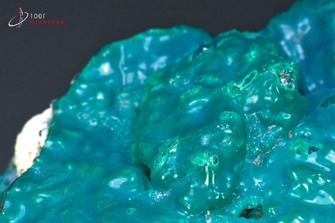 grande chrysocolle bleue